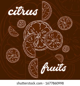 
Halves of citrus fruits. Fruit citrus citrus. Orange. Lemon. Greatfruit. Fruits doodle