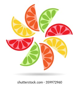 Halves of fresh citrus fruits. Vector illustration icon