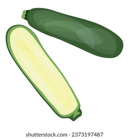 Halves of fresh green zucchini on white background