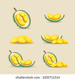 Halves of a tropical durian fruit on a light background. Fresh and organic durian fruit. Vector illustration.