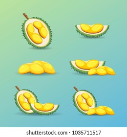 Halves of a tropical durian fruit on a blue background. Fresh and organic durian fruit. Vector illustration.