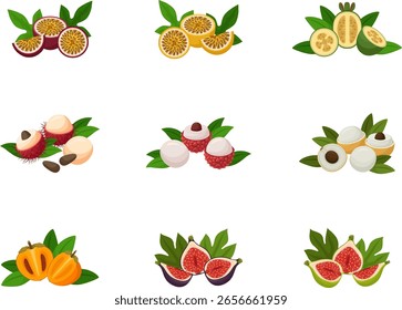 Mitades de frutas tropicales - Ilustraciones vectoriales planas sobre fondo blanco. Conjunto de frutas.