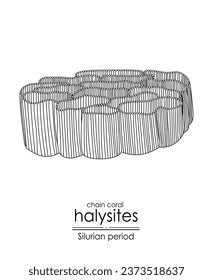 Halysites, a Silurian period chain coral, black and white line art illustration. Ideal for both coloring and educational purposes