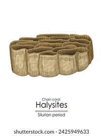 Halysites, a Silurian period chain coral, colorful illustration on a white background