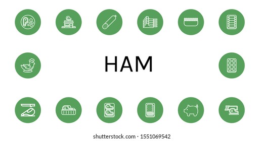 Ham Icon Set. Collection Of Steak, Butcher Shop, Smoked Sausage, Mutton, Minced Meat, Ribs, Ham, Meatloaf, Pig, Chicken, Meatball Icons