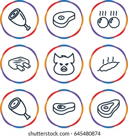 Ham icons set. set of 9 ham outline icons such as pig, beef
