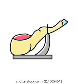 ham leg meat color icon vector. ham leg meat sign. isolated symbol illustration
