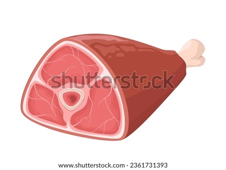 Ham leg vector illustration on white background. Appetizing meat product.