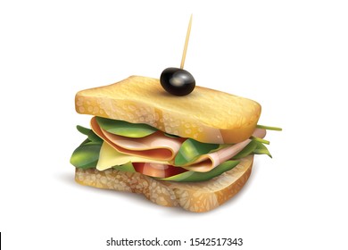 Ham , vegetable ,salad, Paneer , olive and tomatoes sandwich vector illustration
