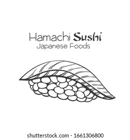 Hamachi sushi outline. Japanese traditional food icon. Isolated hand drawn seafood vector illustration.