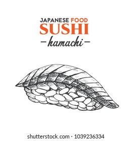 Hamachi sushi sketch. Japanese traditional food icon. Isolated hand drawn vector illustration.