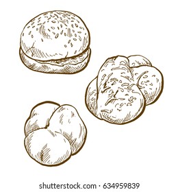 Hamburger bun, garlic bread, hand drawn vector illustration
