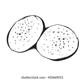Hamburger buns hand drawn on white background, vector pastry illustration