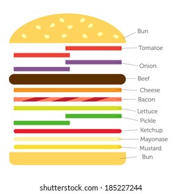 Hamburger or burger ingredients in vector