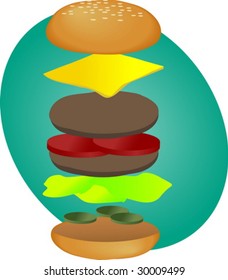 Hamburger illustration, breakdown into sections, fastfood diagram