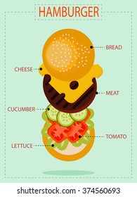 Hamburger ingredient diagram and detail. Flat design for business financial marketing banking advertising commercial background minimal vector concept cartoon illustration.