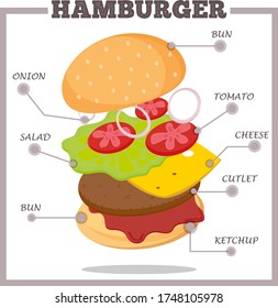 Hamburger Ingredients Infographic for poster, menu, web, banner. Classic American Cheeseburger with Lettuce Tomato Onion Cheese and Meat. Vector isolated on white background