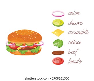 Hamburger with ingredients. Hamburger ingredients with meat cheese tomato salad bun onion cucumber. Hamburger ingredients with text.