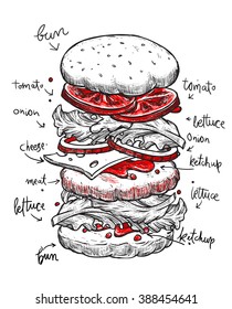 Hamburger ingredients with meat, cheese, tomato, salad, bun, ketchup and lettuce. Classic burger isolated on a white background. Big hamburger with ingredients. Hamburger ingredients with text.