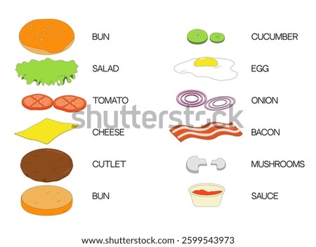 Hamburger ingredients separately. Bun, salad, tomato, cheese, cutlet, egg, bacon, mushrooms, onion, ketchup. Colorful hand drawn vector illustration.