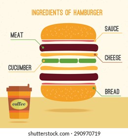 Hamburger ingredients vector infographics