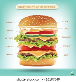 Hamburger ingredients vector infographics
