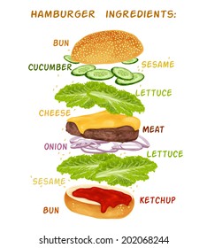 Hamburger Sandwich Ingredients Set Of Bun Cucumber Meat Ketchup Vector Illustration