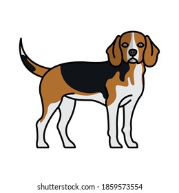 hamiltonstovare dog pet mascot breed character vector illustration design