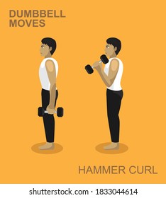 Hammer Curl Dumbbell Moves  Gym Set Illustration