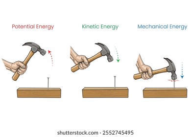 Ein Hammer demonstriert kinetische Energie, wenn er geschwenkt wird, überträgt potenzielle Energie auf den Nagel und kombiniert beides als mechanische Energie, die den Nagel in Holz treibt.