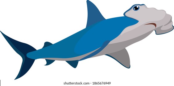 Hammer Shark Illustration Vector On White Stock Vector (Royalty Free ...