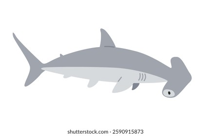 Hammerhead shark cartoon clipart. Cute hammerhead shark (Sphyrnidae) vector illustration. Animal in flat style. Sea animals concept isolated on white background