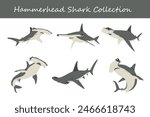 hammerhead shark collection. hammerhead shark in different poses. Vector illustration.