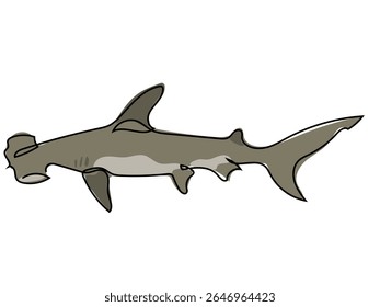 Hammerhead shark in continuous line drawing on a white background.