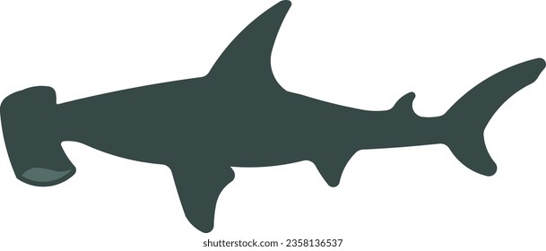 hammerhead shark hammer shark shark bonehead animal