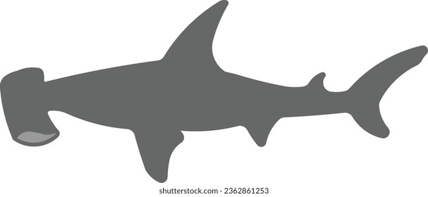 hammerhead shark hammer shark shark bonehead animal