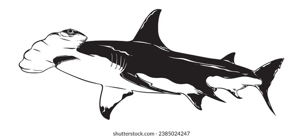 Hammerhead shark Hand Drawn isolate in white backgound vector vintage illustration art for t-shirt, poster and sign