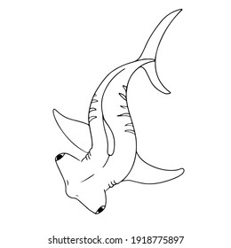 Hammerhead shark. Hand-drawn marine animal. Sea doodles. Vector illustration isolated on white background