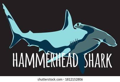 hammerhead shark image with vector text