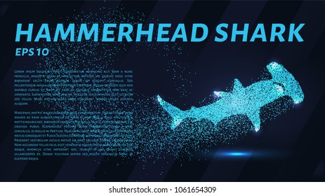 The hammerhead shark from the particles. Fish hammer consists of small circles