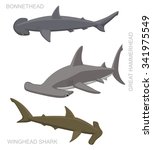 Hammerhead Shark Set Cartoon Vector Illustration