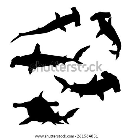 Free Free 343 Silhouette Hammerhead Shark Svg SVG PNG EPS DXF File