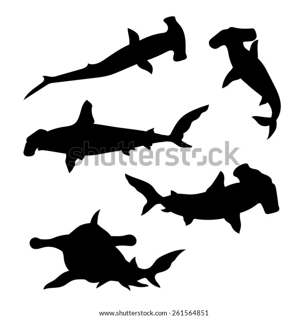 Hammerhead Shark Set Silhouettes Vector Stock Vector (Royalty Free ...