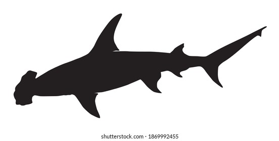 hammerhead shark silhouette vector illustration