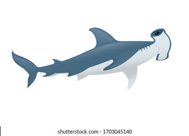 159 Angry hammerhead shark Images, Stock Photos & Vectors | Shutterstock