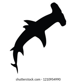 Hammerhead Shark, Vector