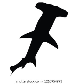 Hammerhead shark, vector