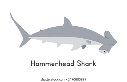 Hammerhead shark vector illustration. Hammerhead shark cartoon clipart, animal in flat style. Sea animals, underwater creatures, ocean animals, marine life concept. Hammerhead shark vector design