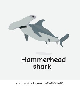 Hammerhead Shark Vector Illustration: Unique Marine Predator