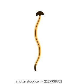 Hammerhead vector. Hammerhead worm on white background. With head black like hammer axe or an ax and black tail tip.